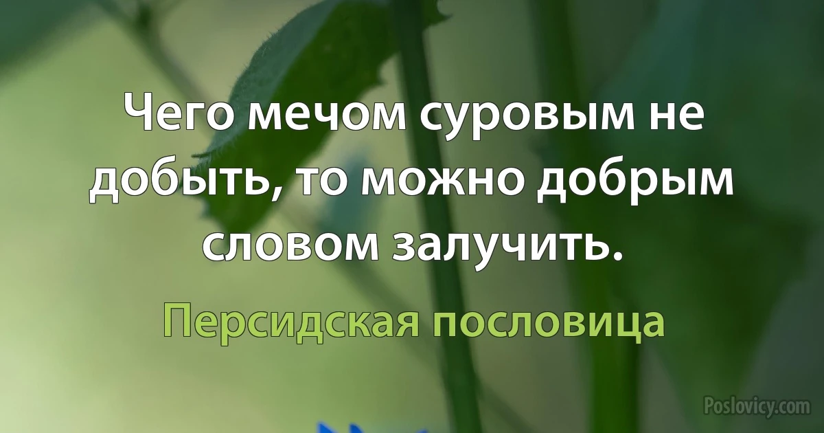 Чего мечом суровым не добыть, то можно добрым словом залучить. (Персидская пословица)