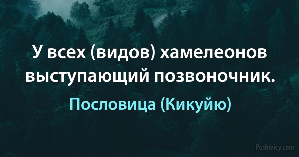 У всех (видов) хамелеонов выступающий позвоночник. (Пословица (Кикуйю))