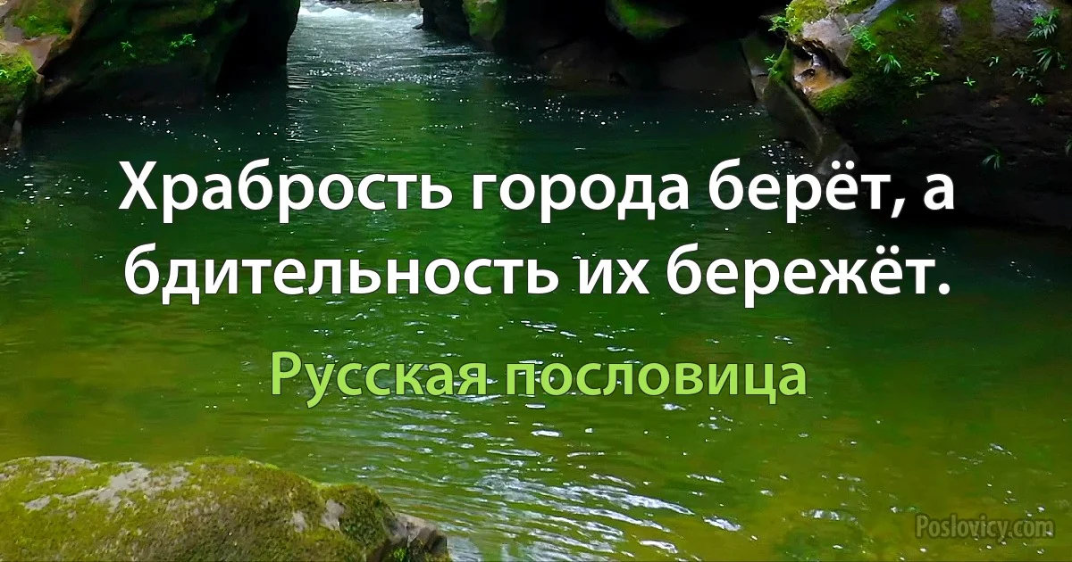 Храбрость города берёт, а бдительность их бережёт. (Русская пословица)