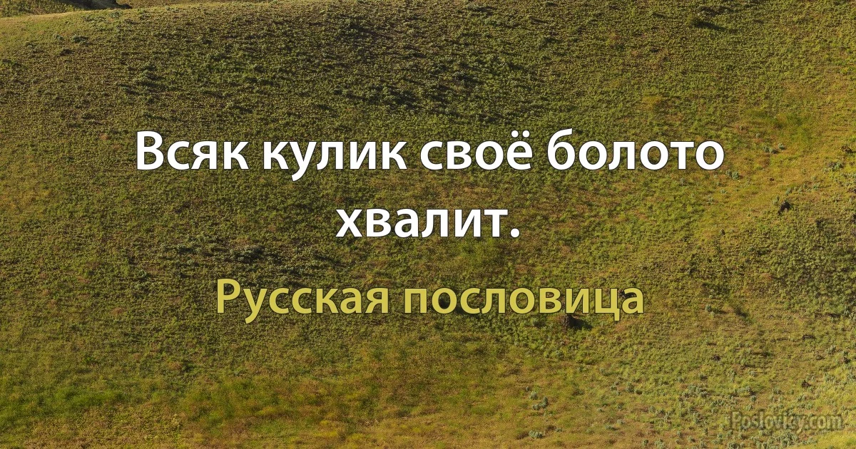 Всяк кулик своё болото хвалит. (Русская пословица)