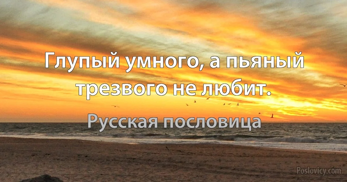 Глупый умного, а пьяный трезвого не любит. (Русская пословица)