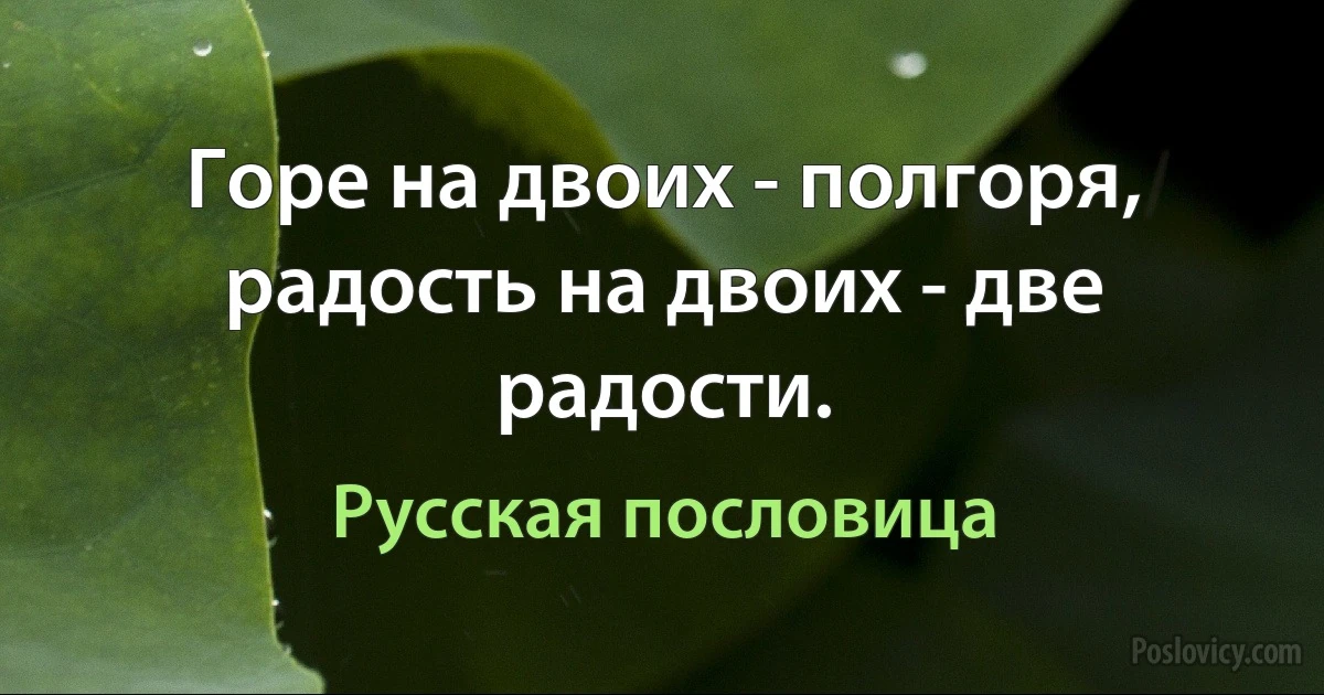 Горе на двоих - полгоря, радость на двоих - две радости. (Русская пословица)