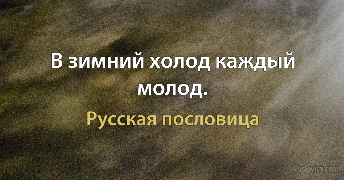 В зимний холод каждый молод. (Русская пословица)