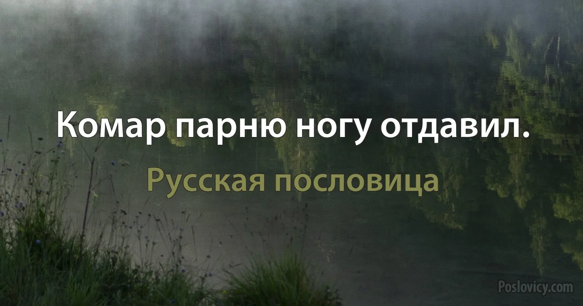 Комар парню ногу отдавил. (Русская пословица)