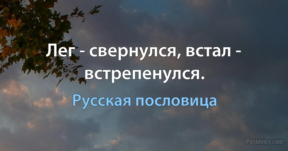 Лег - свернулся, встал - встрепенулся. (Русская пословица)