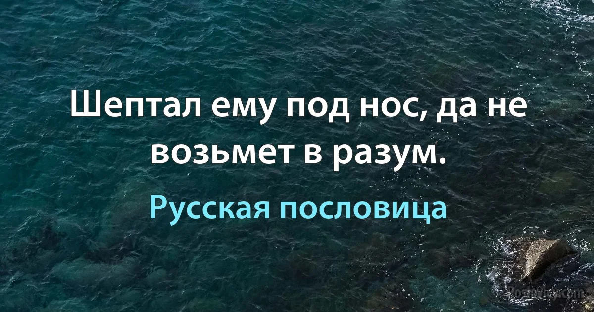 Шептал ему под нос, да не возьмет в разум. (Русская пословица)