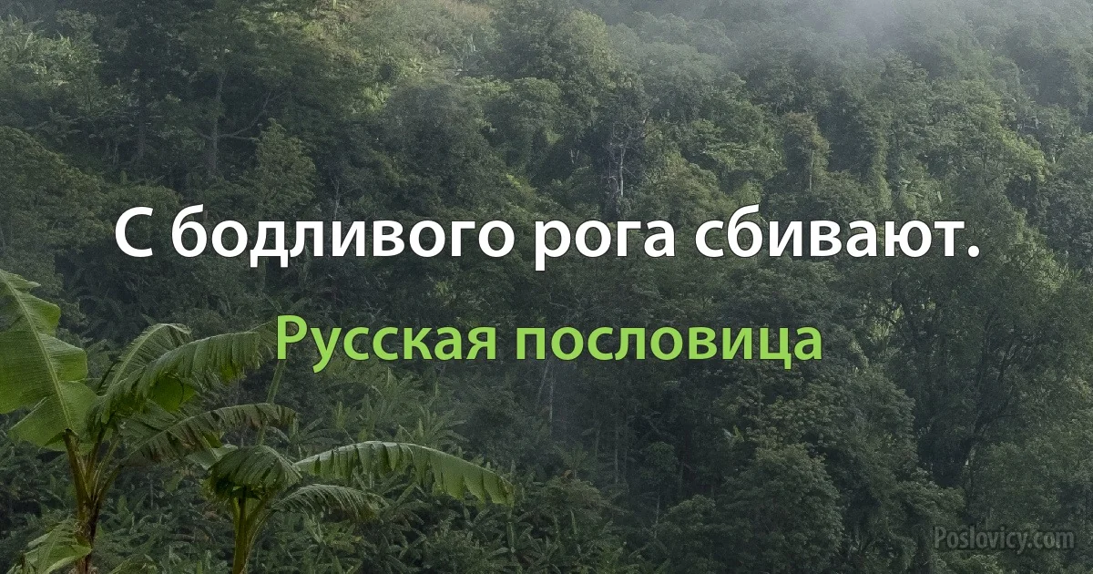 С бодливого рога сбивают. (Русская пословица)