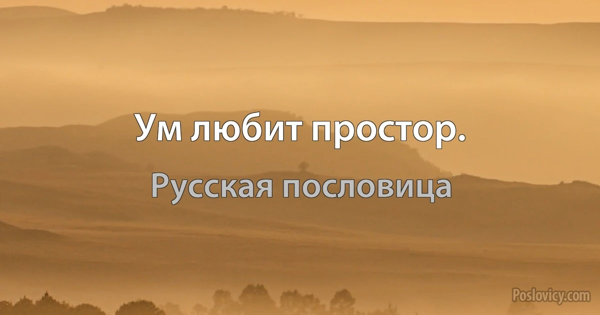 Ум любит простор. (Русская пословица)