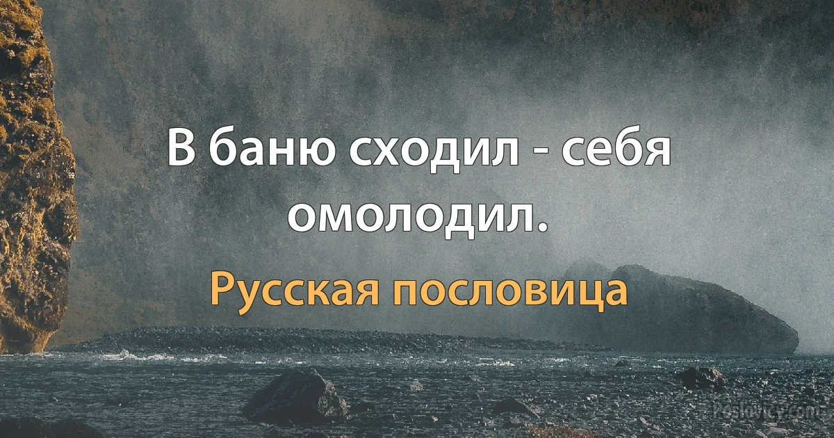 В баню сходил - себя омолодил. (Русская пословица)