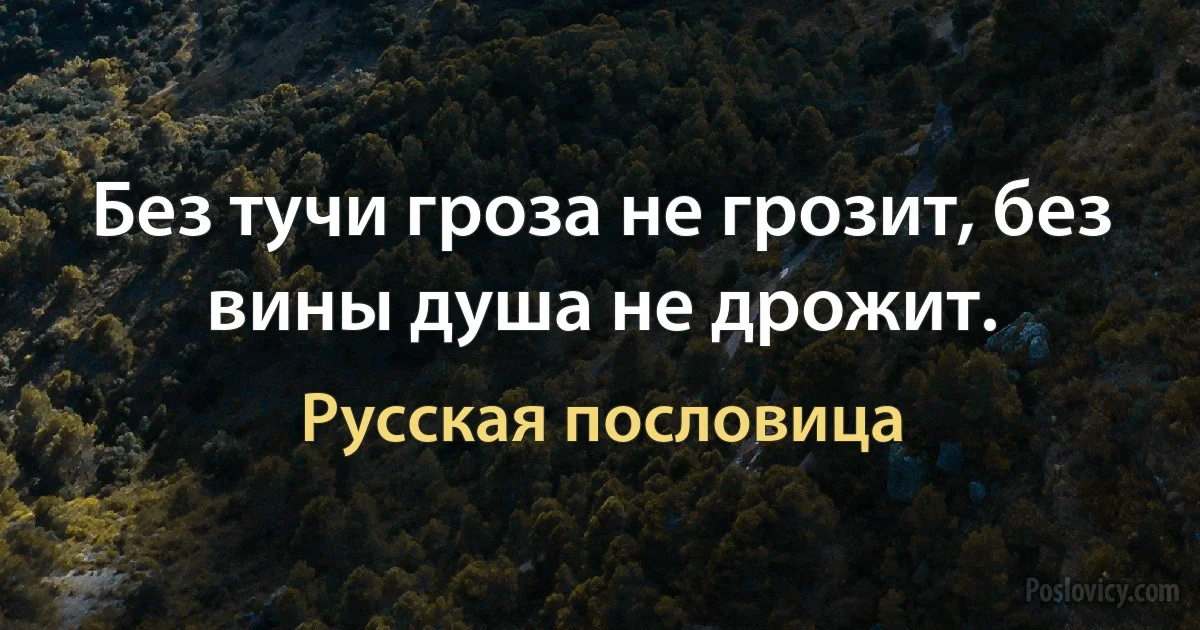 Без тучи гроза не грозит, без вины душа не дрожит. (Русская пословица)