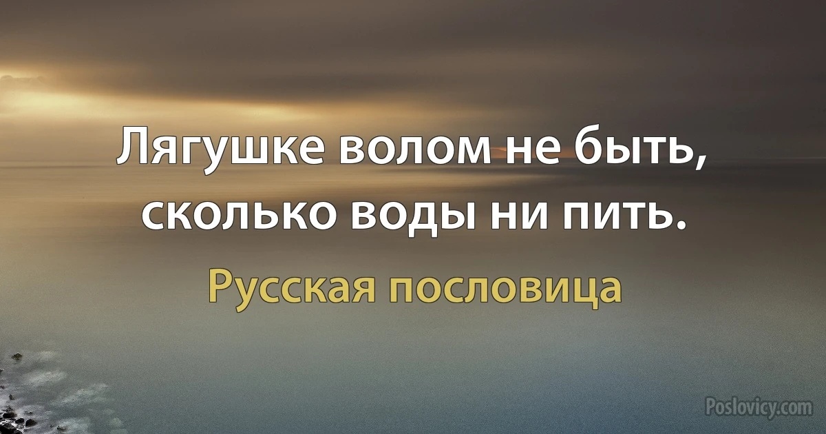 Лягушке волом не быть, сколько воды ни пить. (Русская пословица)