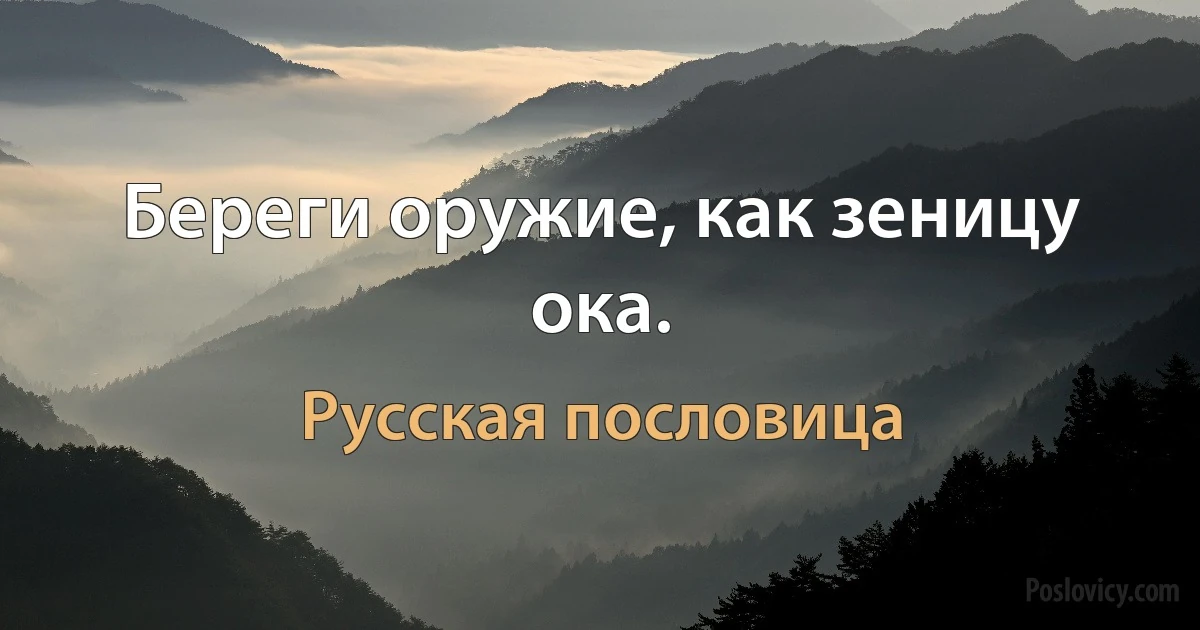 Береги оружие, как зеницу ока. (Русская пословица)