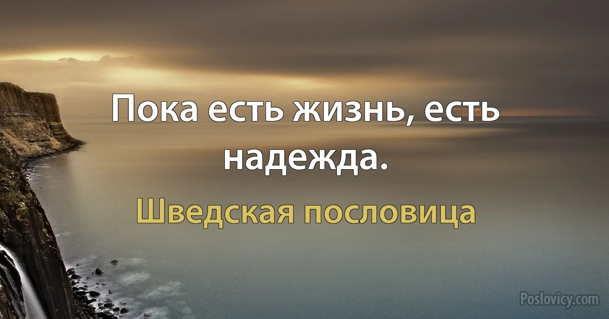 Пока есть жизнь, есть надежда. (Шведская пословица)