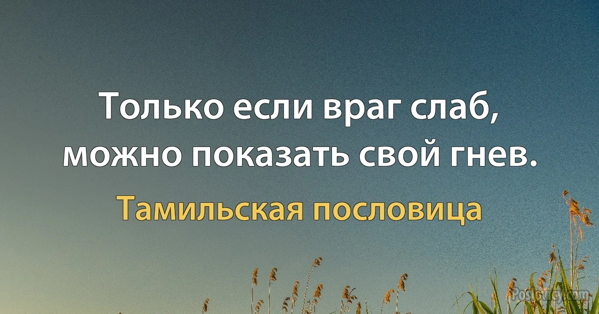 Только если враг слаб, можно показать свой гнев. (Тамильская пословица)