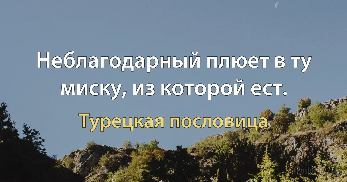 Неблагодарный плюет в ту миску, из которой ест. (Турецкая пословица)