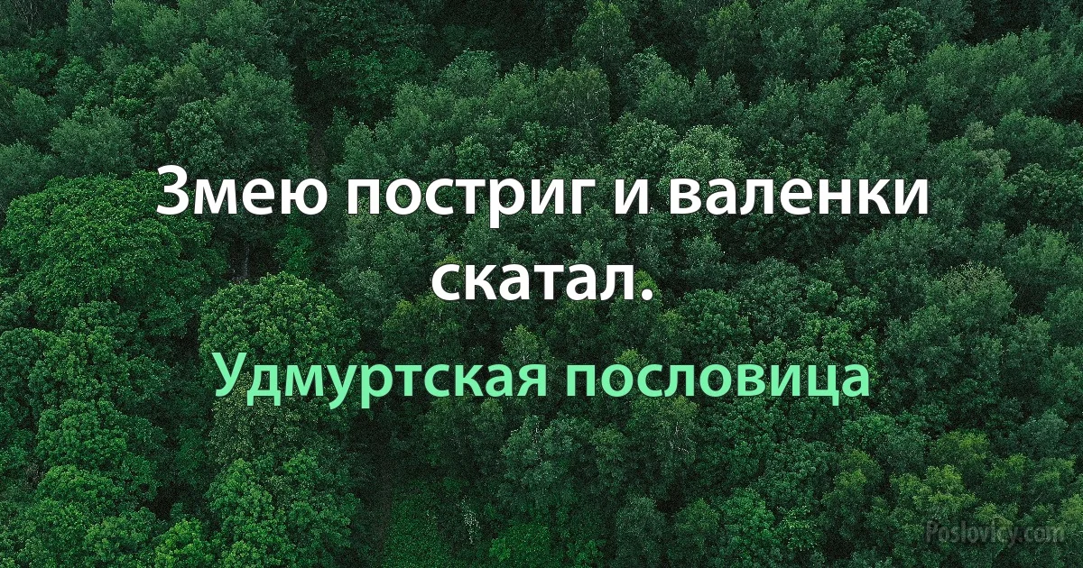 Змею постриг и валенки скатал. (Удмуртская пословица)