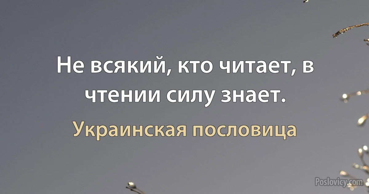 Не всякий, кто читает, в чтении силу знает. (Украинская пословица)