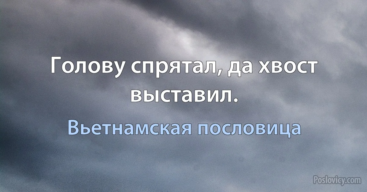 Голову спрятал, да хвост выставил. (Вьетнамская пословица)