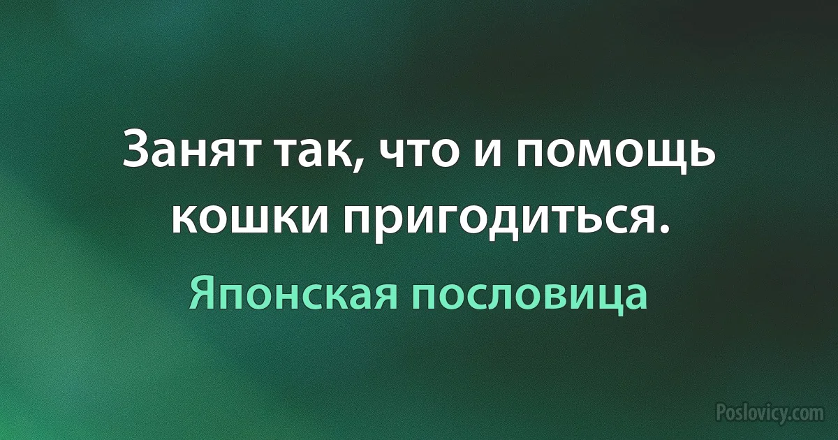 Занят так, что и помощь кошки пригодиться. (Японская пословица)