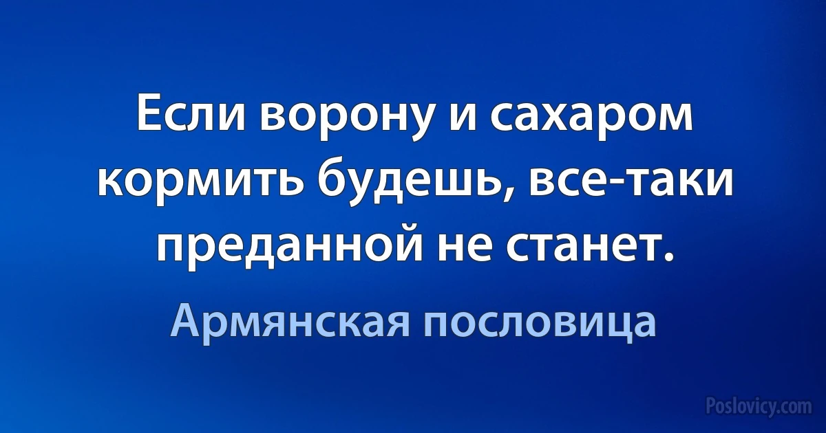 Если ворону и сахаром кормить будешь, все-таки преданной не станет. (Армянская пословица)