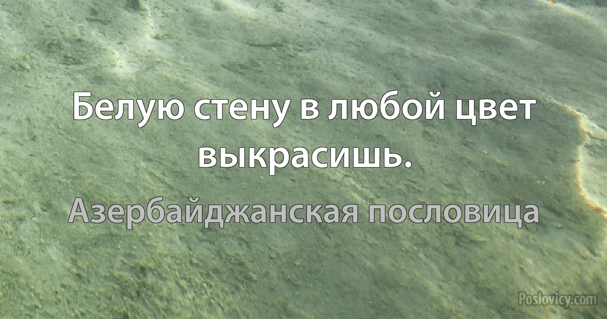 Белую стену в любой цвет выкрасишь. (Азербайджанская пословица)