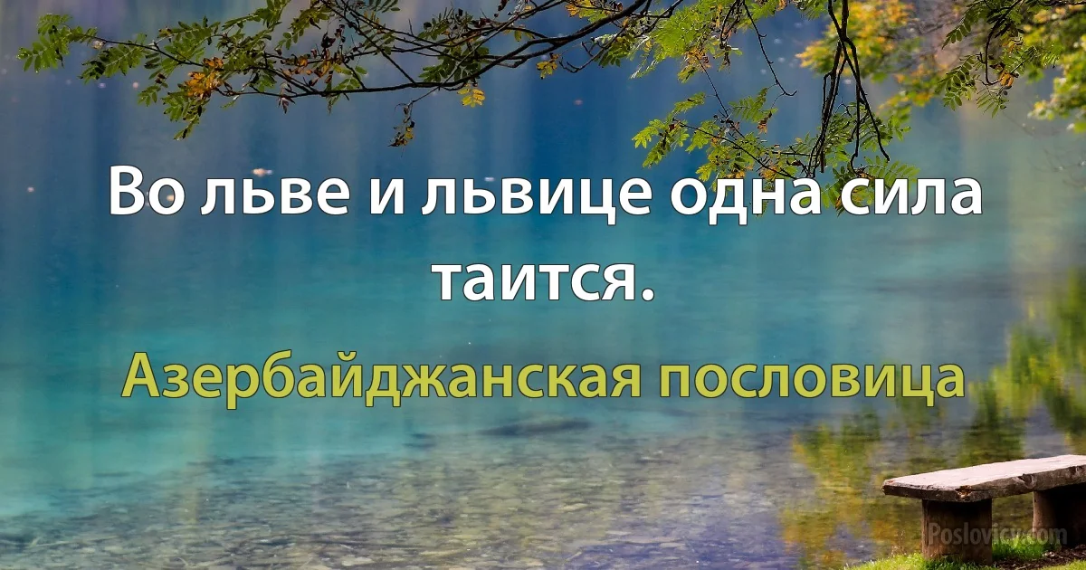 Во льве и львице одна сила таится. (Азербайджанская пословица)