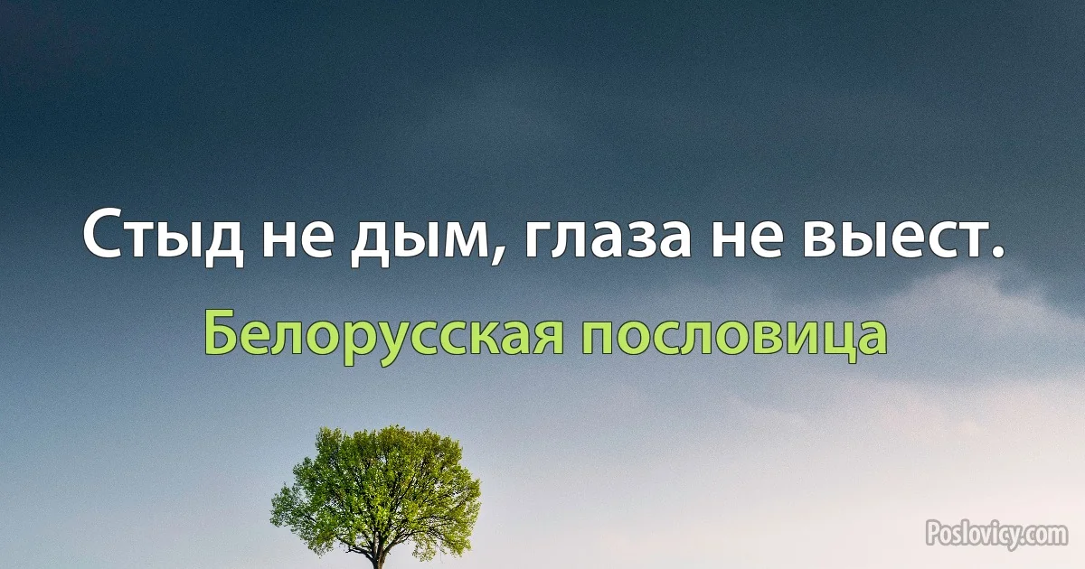 Стыд не дым, глаза не выест. (Белорусская пословица)