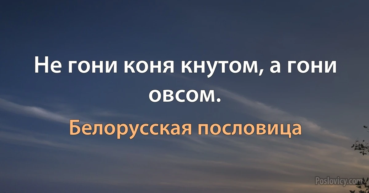 Не гони коня кнутом, а гони овсом. (Белорусская пословица)