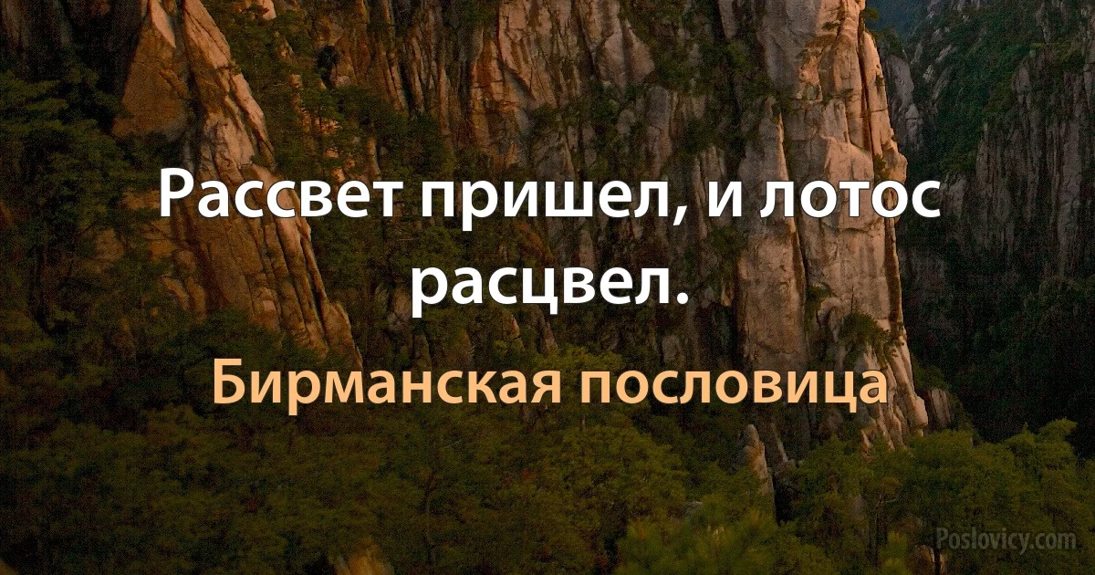 Рассвет пришел, и лотос расцвел. (Бирманская пословица)