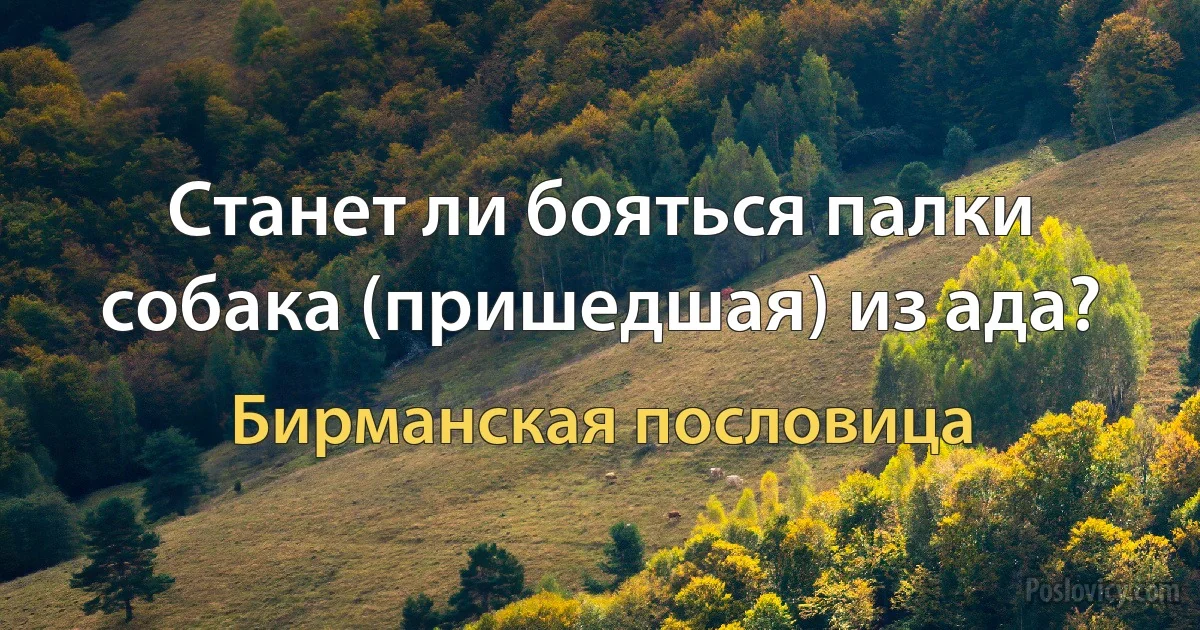 Станет ли бояться палки собака (пришедшая) из ада? (Бирманская пословица)