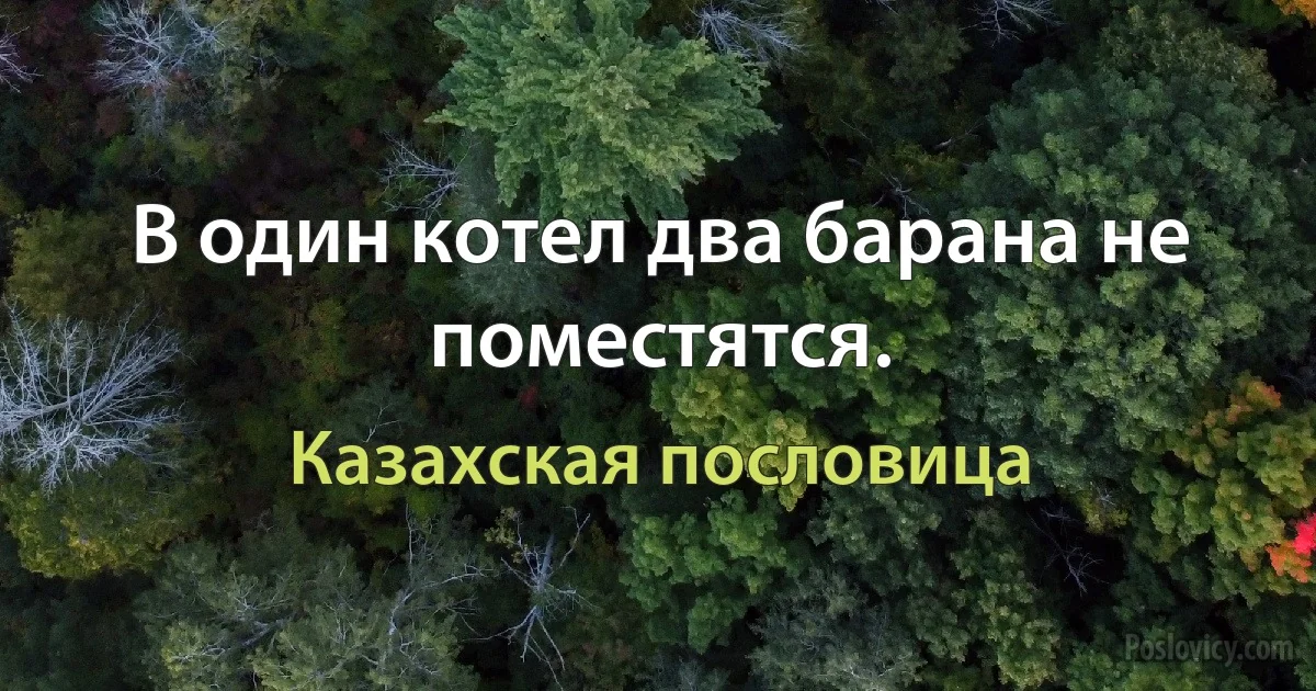 В один котел два барана не поместятся. (Казахская пословица)