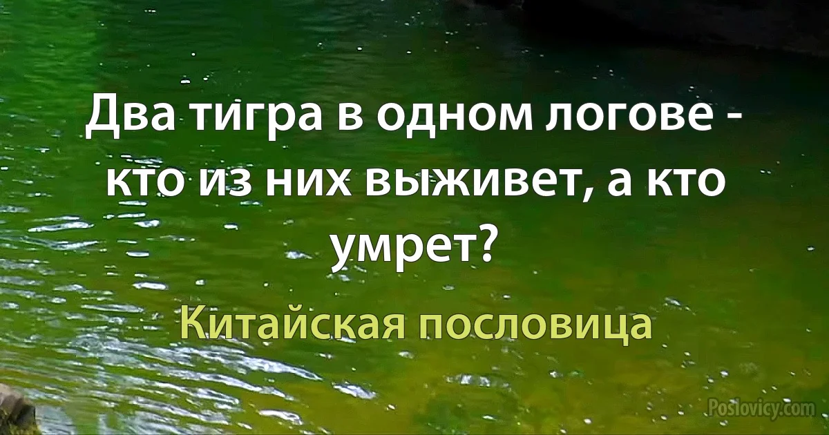 Два тигра в одном логове - кто из них выживет, а кто умрет? (Китайская пословица)