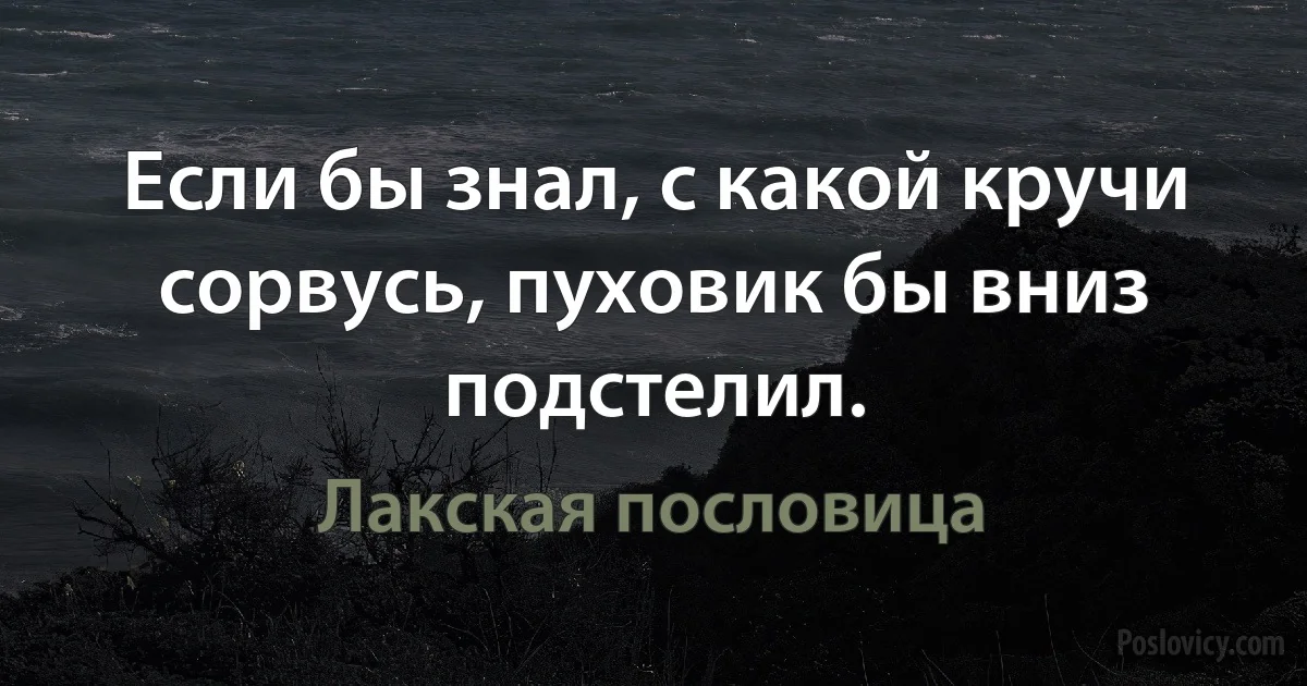 Если бы знал, с какой кручи сорвусь, пуховик бы вниз подстелил. (Лакская пословица)