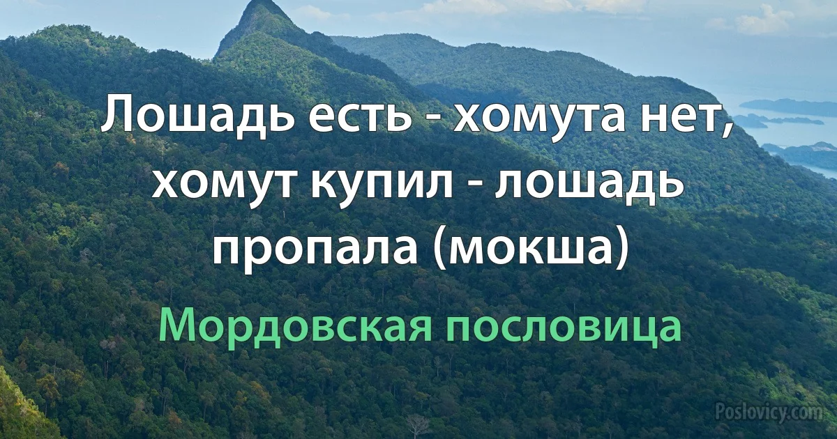 Лошадь есть - хомута нет, хомут купил - лошадь пропала (мокша) (Мордовская пословица)