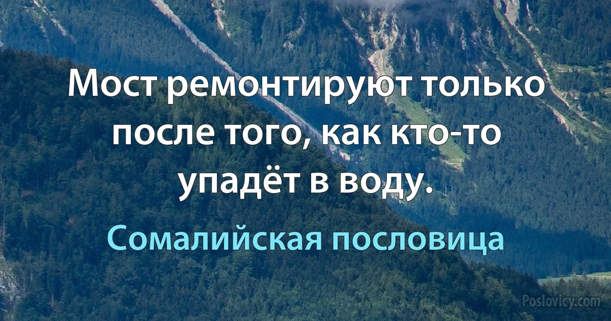 Мост ремонтируют только после того, как кто-то упадёт в воду. (Сомалийская пословица)