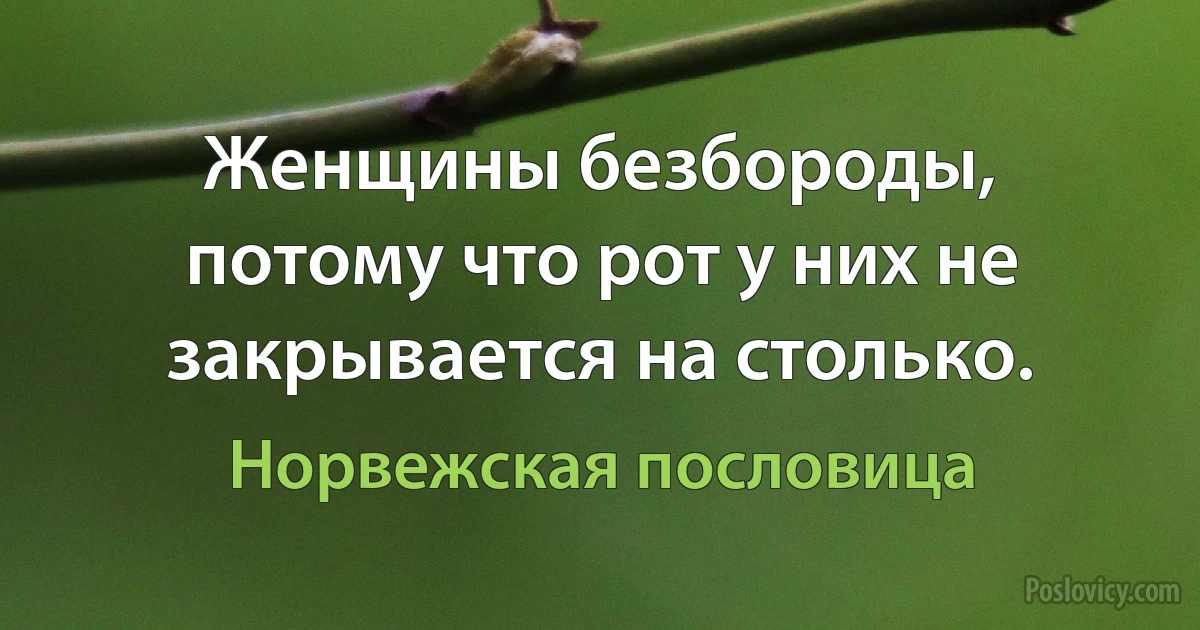 Женщины безбороды, потому что рот у них не закрывается на столько. (Норвежская пословица)