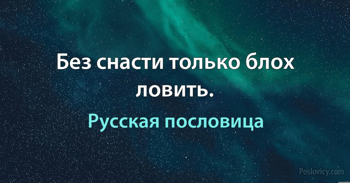 Без снасти только блох ловить. (Русская пословица)