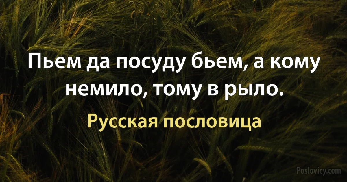 Пьем да посуду бьем, а кому немило, тому в рыло. (Русская пословица)