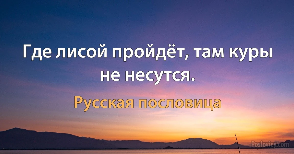 Где лисой пройдёт, там куры не несутся. (Русская пословица)