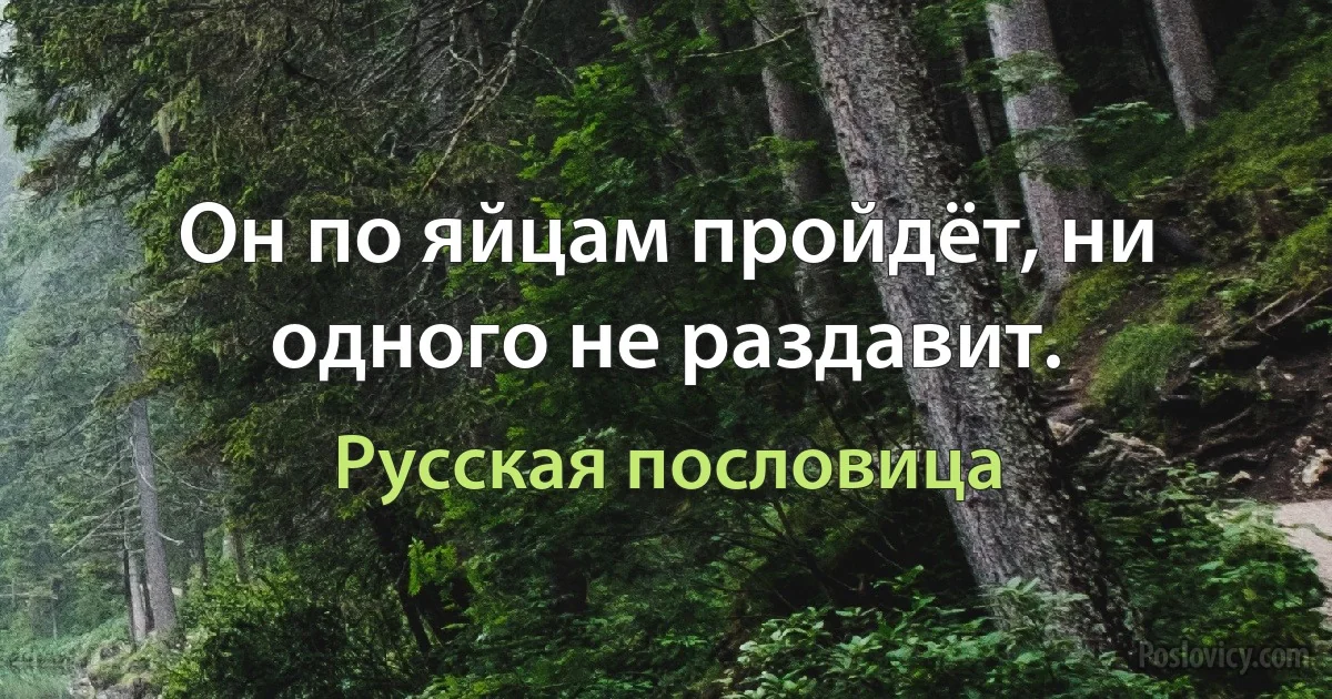 Он по яйцам пройдёт, ни одного не раздавит. (Русская пословица)