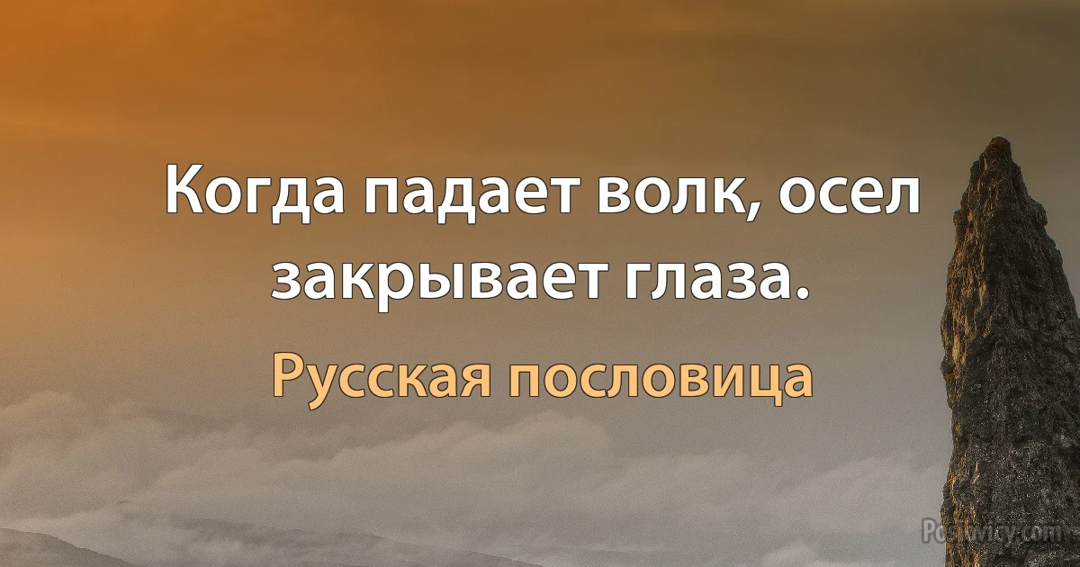 Когда падает волк, осел закрывает глаза. (Русская пословица)