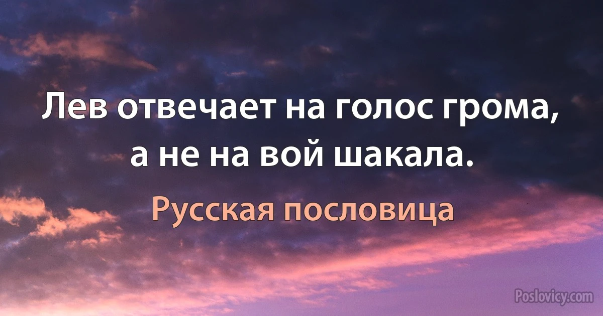 Лев отвечает на голос грома, а не на вой шакала. (Русская пословица)