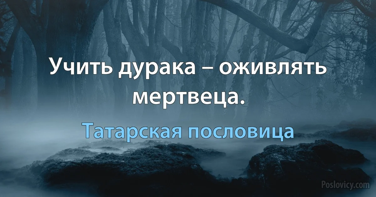 Учить дурака – оживлять мертвеца. (Татарская пословица)