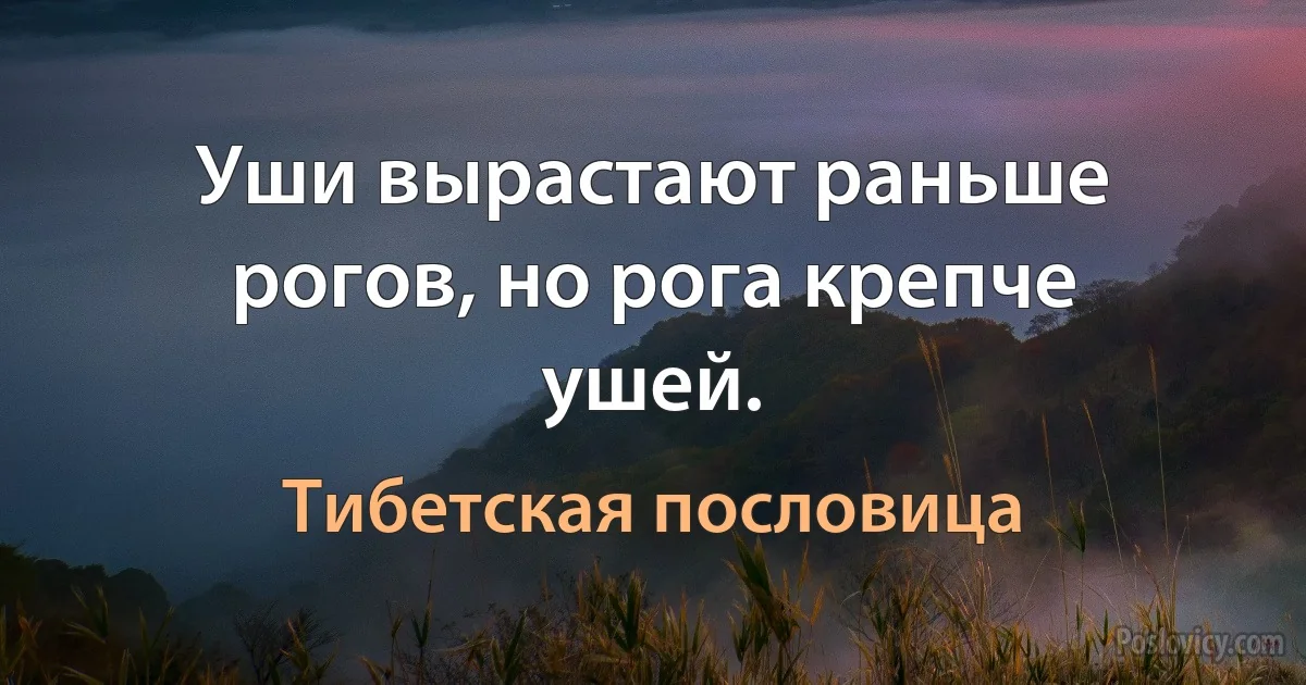 Уши вырастают раньше рогов, но рога крепче ушей. (Тибетская пословица)