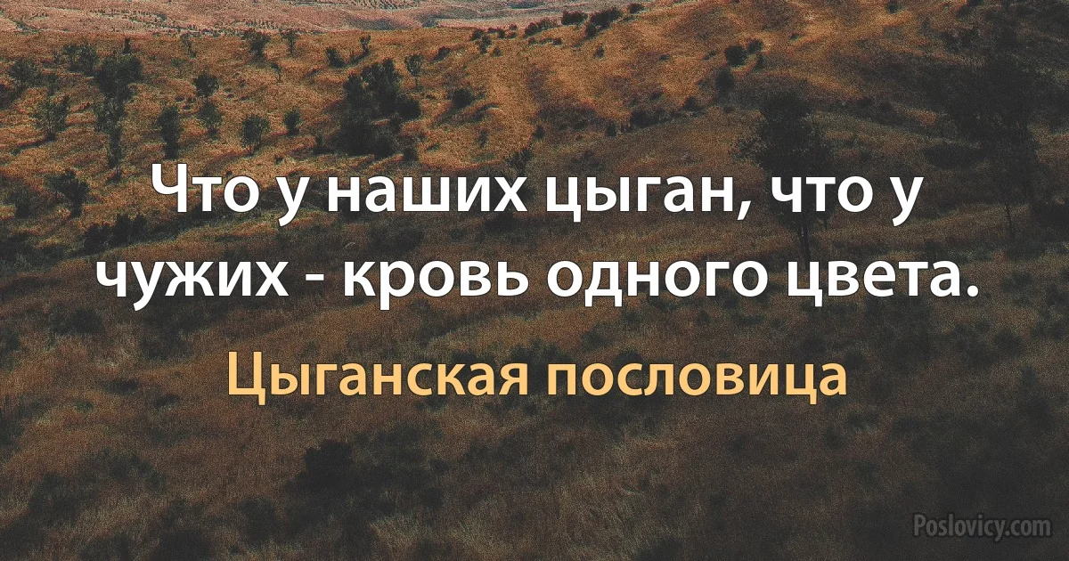 Что у наших цыган, что у чужих - кровь одного цвета. (Цыганская пословица)