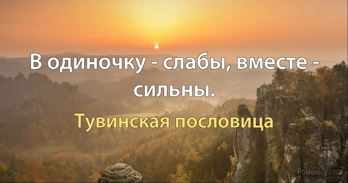 В одиночку - слабы, вместе - сильны. (Тувинская пословица)