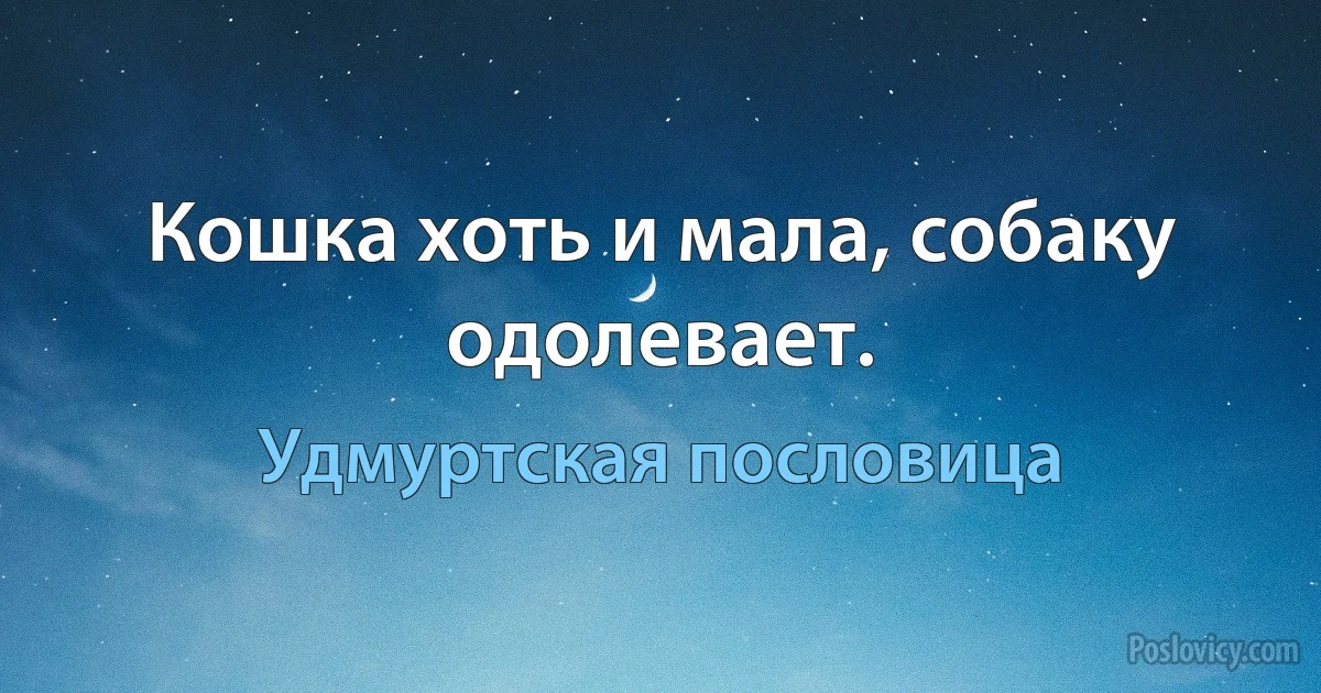 Кошка хоть и мала, собаку одолевает. (Удмуртская пословица)