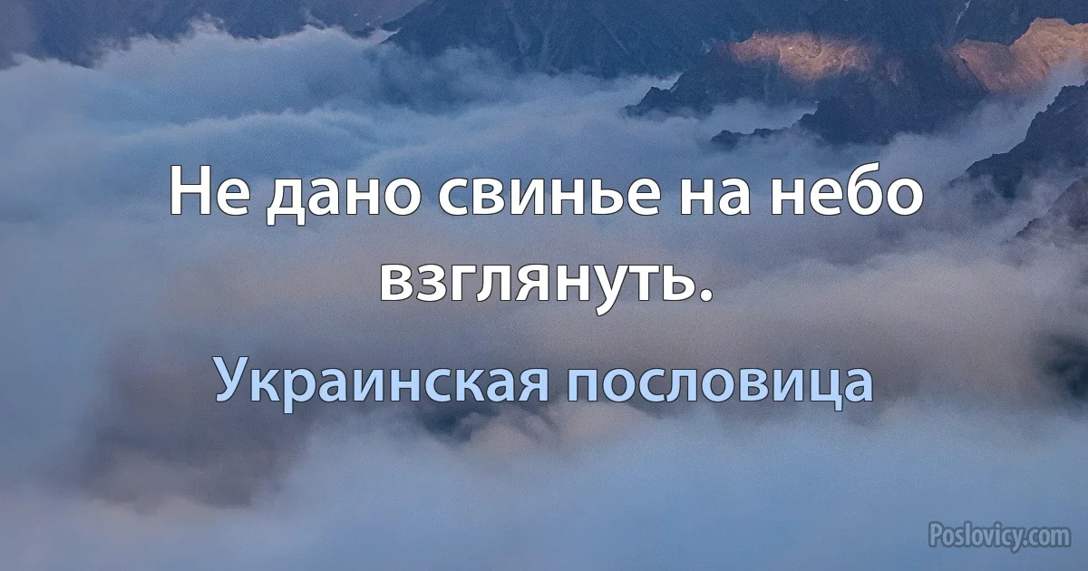 Не дано свинье на небо взглянуть. (Украинская пословица)