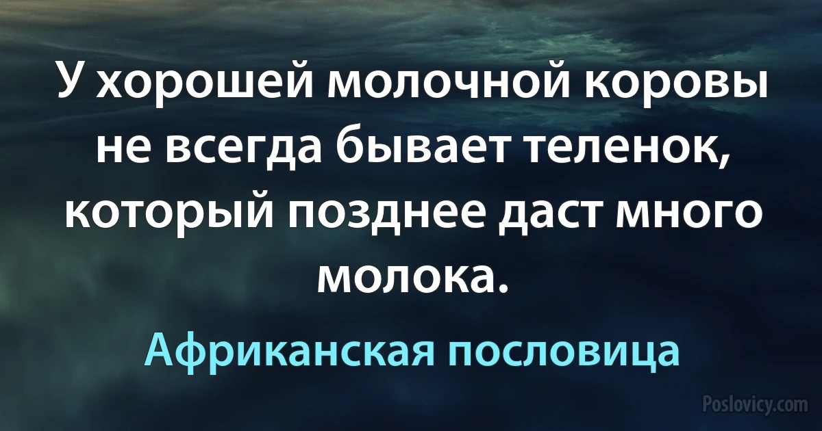 У хорошей молочной коровы не всегда бывает теленок, который позднее даст много молока. (Африканская пословица)