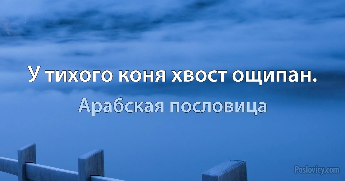 У тихого коня хвост ощипан. (Арабская пословица)